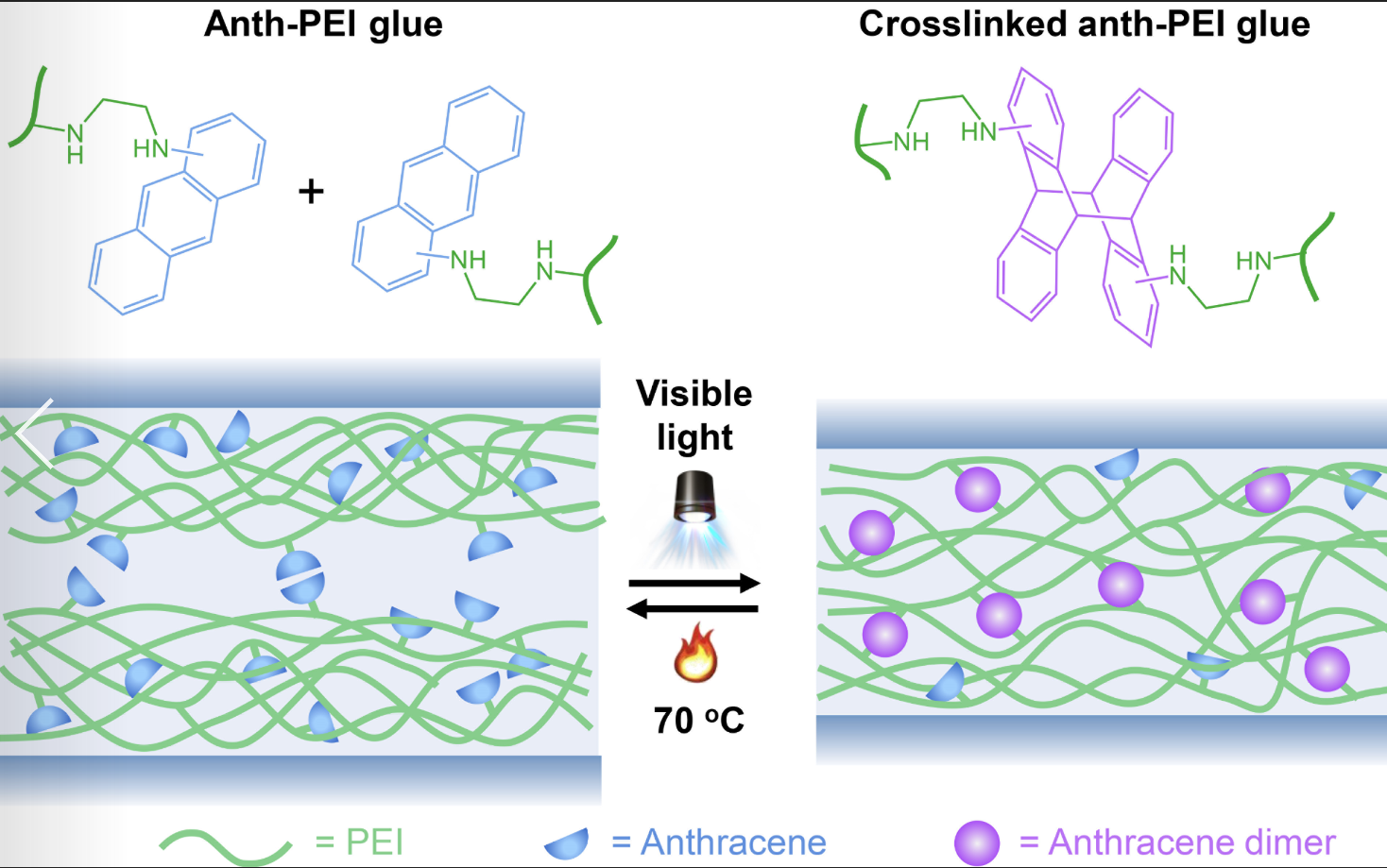 A reversible underwater glue based on photo- and thermo-responsive dynamic covalent bonds